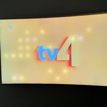 Samsung TV Ekran Problemi