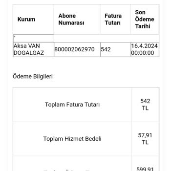 FaturaOdemelisin.net Doğalgaz Faturasını Ödedim Halen Borç Gözüküyor