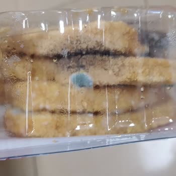 Keskinoğlu Piliç Küf İçinde