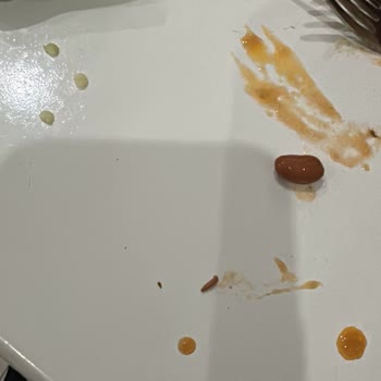 Tat Gıda Kurtlu Barbunya Pilaki (tat Marka)