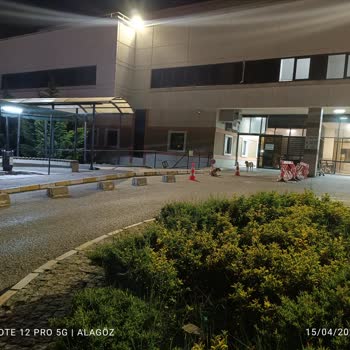 Kocaeli Üniversitesi Hastanesi Hastane Bahçesi Ve Çevresindeki Köpeklerin Kontrol Altına Alınması!