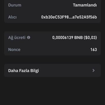 Trust Wallet Üzerinden Aldığım Ethereum Cüzdana Düşmedi!