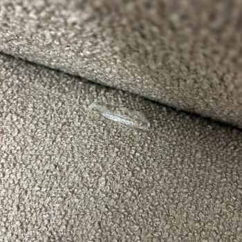 Hombien Koltuk Mağduriyeti