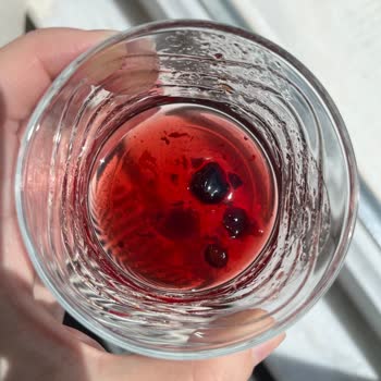 Erdoğanlar Gıda Çekirdekli Vişne Reçeli Dişimize Zarar Verdi