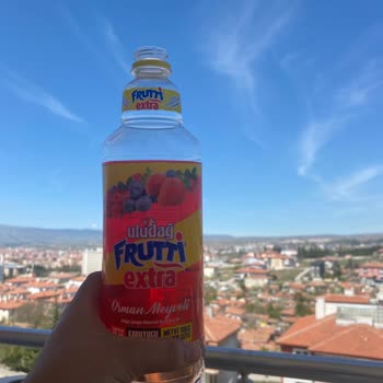 Uludağ İçecek Uludağ Frutti Extra Orman Meyveli Gazlı İçecek