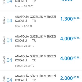 Denizbank 15300 Tutarındaki Harcamaya Taksit Yapılmaması