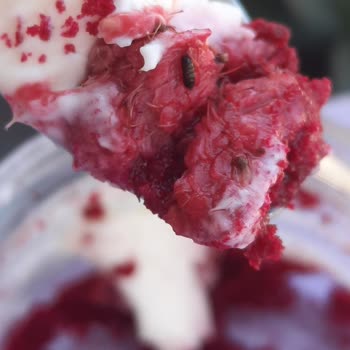 Ekleristan Gıda Güvenliğinde Büyük Hayal Kırıklığı