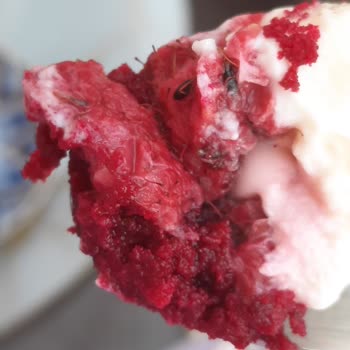 Ekleristan Gıda Güvenliğinde Büyük Hayal Kırıklığı