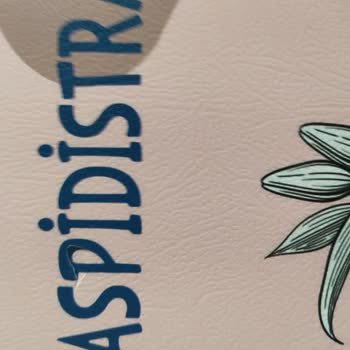 Halk Kitap Evi Ve Sümüklü Kitabı