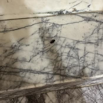 Balıkesir Global Site Yönetimi Hizmet Vermiyor.