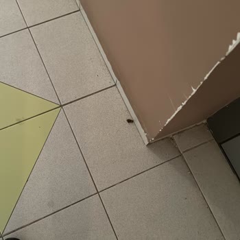 Balıkesir Global Site Yönetimi Hizmet Vermiyor.