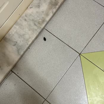 Balıkesir Global Site Yönetimi Hizmet Vermiyor.