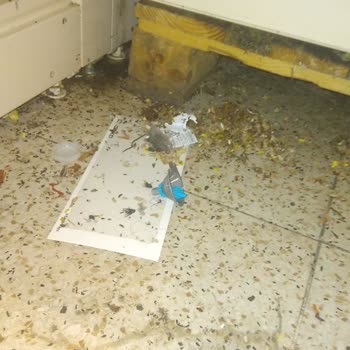 Sok Market Fare Yuvası Olmuş