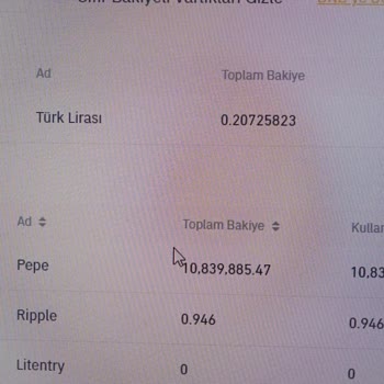 Binance TR Para Hesaba Gelmedi