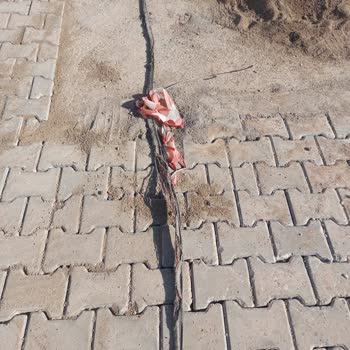 Türk Telekom İnternet Kutusu Ve Kopuk Kablo Mağdurları