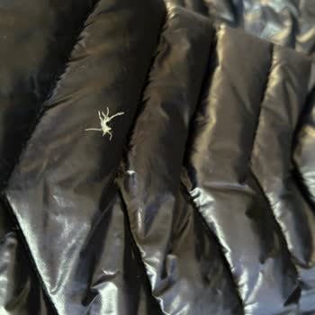 Lufian Ayıplı Malını Kabul Etmiyor...