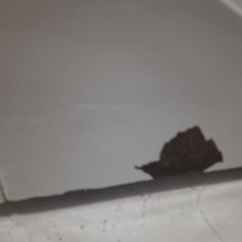 Bosch Çamaşır Makinesi Paslanma Sorunu