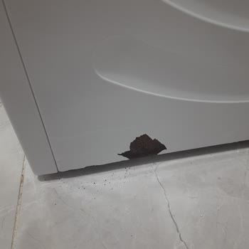 Bosch Çamaşır Makinesi Paslanma Sorunu