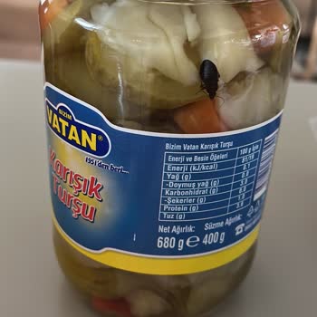 Şok Marketler Turşu İçerisinden Çıkan Böcek