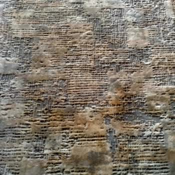 Festival Halı Mutfak Halısındaki Sarı Lekeler Ve Mağduriyet Talebi