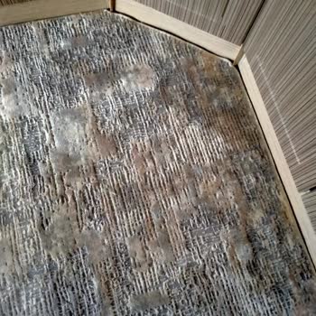 Festival Halı Mutfak Halısındaki Sarı Lekeler Ve Mağduriyet Talebi