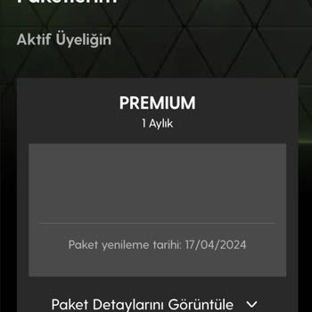 Geforce Now Gameplus Premium Olmasına Rağmen Bekleme Süresi...