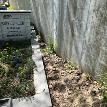 İBB - İstanbul Büyükşehir Belediyesi Eyüp Mezarlık Şikayet