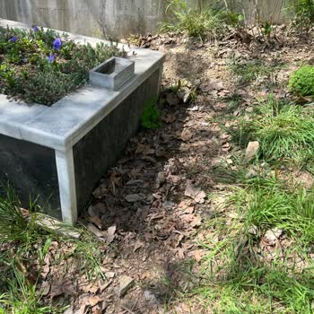 İBB - İstanbul Büyükşehir Belediyesi Eyüp Mezarlık Şikayet