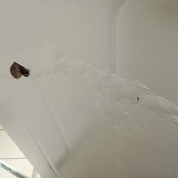 Altus Bulaşık Makinesi Suyu Dışarı Vermesi