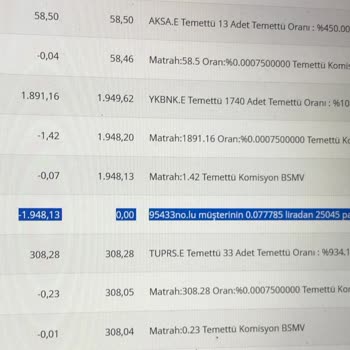 TEB Bankası Rızam Olmadan Fon Alımı Yapmış Ve Temettümü Yatırmadı