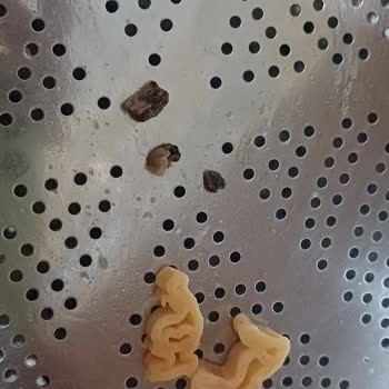 Nuh'un Ankara Makarnası Ankara Nuhun Makarna