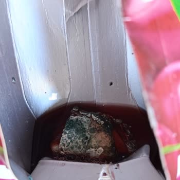 Dimes Gıda Meyve Suyunun İçinden Garip Bir Şey Çıktı