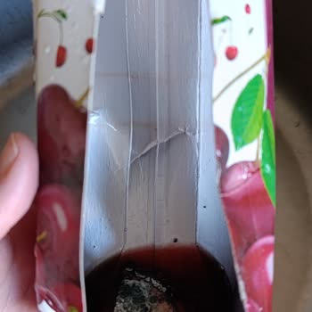 Dimes Gıda Meyve Suyunun İçinden Garip Bir Şey Çıktı