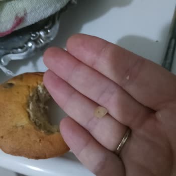 A101 Kekspır Kek Taş Çıktı