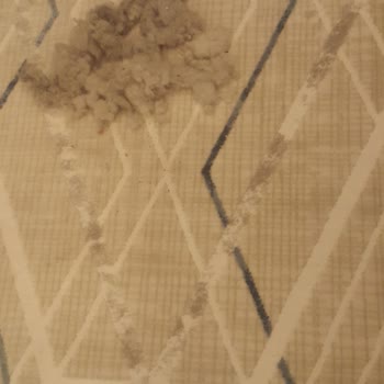 Keleş Halı & Avize (Çekmeköy) Kalitesiz Halı Sattı!