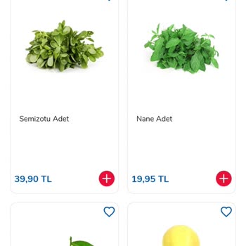 Carrefour SA Online Alışveriş Sitesi