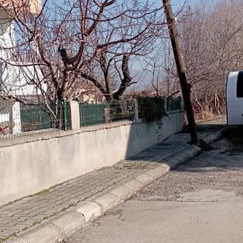 Türk Telekom Telefon Direği Yıkılması