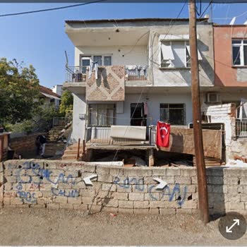 Kepez Belediyesi Hastalıklı Saldırgan Köpek Ve Uyuz Salgını