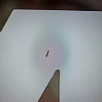 Philips TV Televizyonunun İçinde Kurt Var!