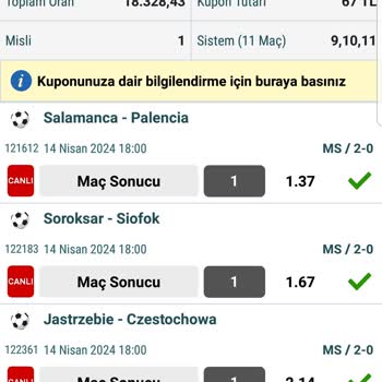 Nesine.com Bahis Sitesi 27300 Numaralı Roma Udinese Maçı Yarıda Kaldı