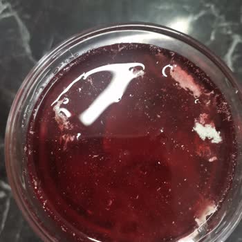 Jucy Meyve Nektarı Jucy Meyve Suyu İçinden Çıkan Şeyler