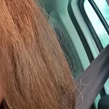 Salon İstinye Kuaför'de Saçlarım Zarar Gördü!