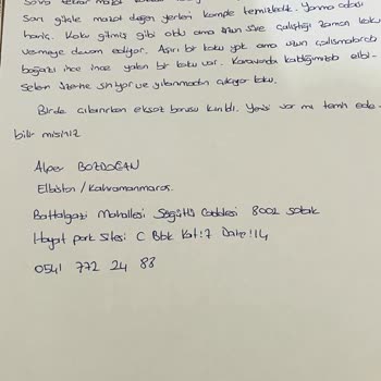 Koca Bir Sezon Webesten Webasto Dan Dolayı Çöp Oldu.