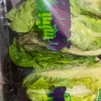 Getir Renk Değiştiren Marul