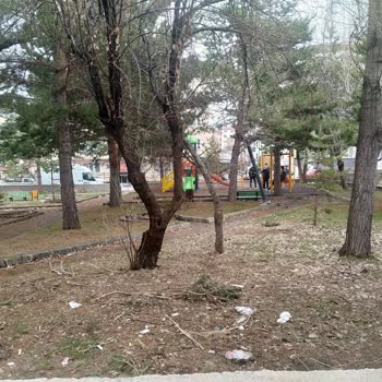 Palandöken Belediyesi Palandöken Belediye Başkanlığı