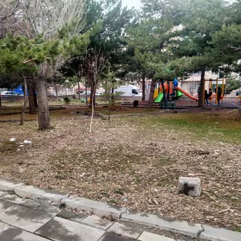 Palandöken Belediyesi Palandöken Belediye Başkanlığı