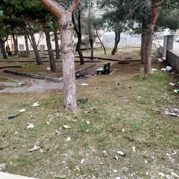 Palandöken Belediyesi Palandöken Belediye Başkanlığı