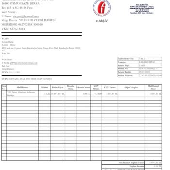 Dyson V15 Süpürge Aparat Sorunu