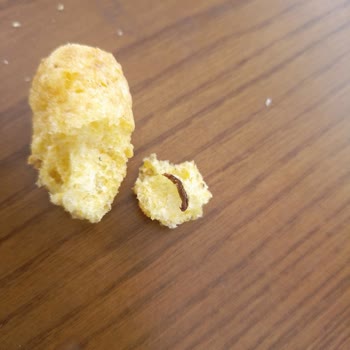 Star Krak Cipsten Kurt Çıktı