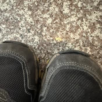 Skechers Kalitesiz Ayakkabı Ve Mağduriyet
